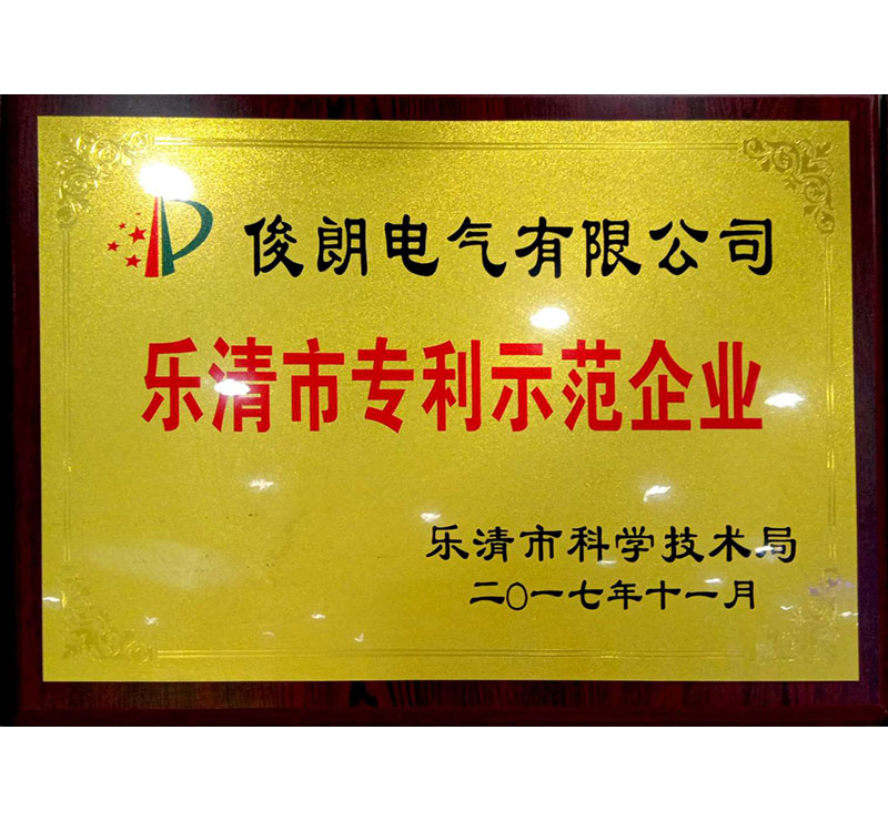 2017乐清市专利示范企业-乐清科学技术局